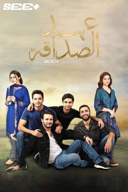Ehd e Wafa poster