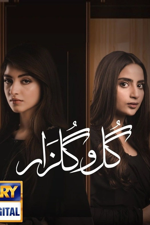 Gul-o-Gulzar poster