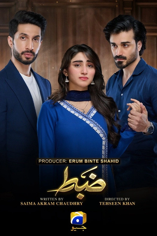 Zabt poster