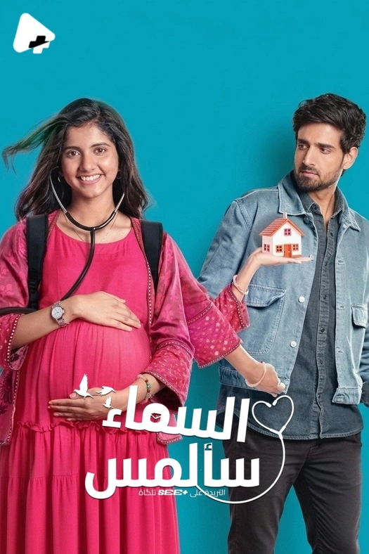 Pocket Mein Aasmaan poster