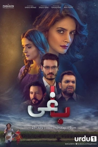 Baaghi