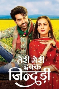 Teri Meri Ikk Jindri